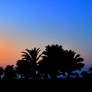 UAE beach sunset 4