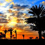 UAE Beach Sunset 6
