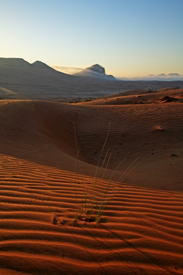 Alone ... in the ... desert