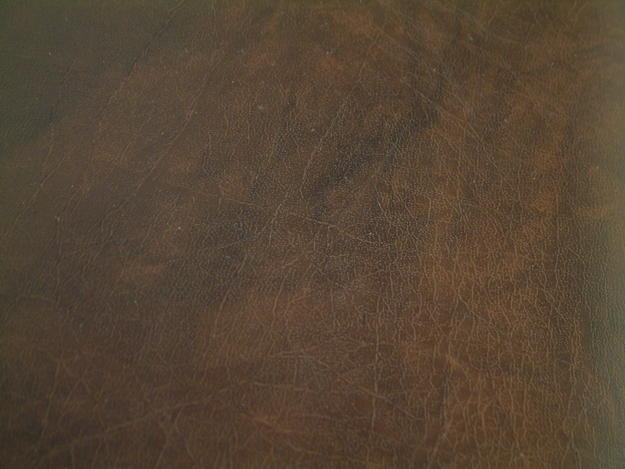 Leather Texture 1