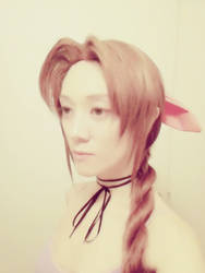 Aerith Profile