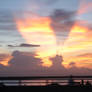 Nature's Spotlights