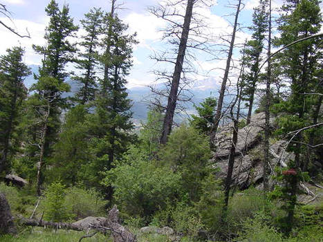 Rocky Mountains