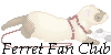 Ferret Fan Club Avatar