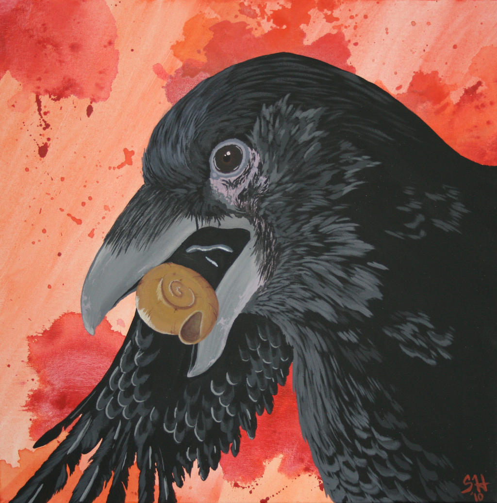 Stuart Raven Raven by StuartHolland on DeviantArt