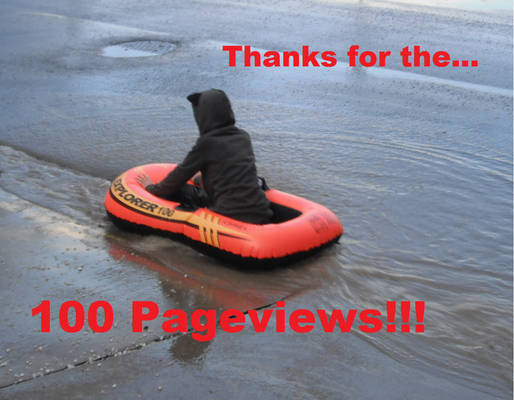 100 Pageviews