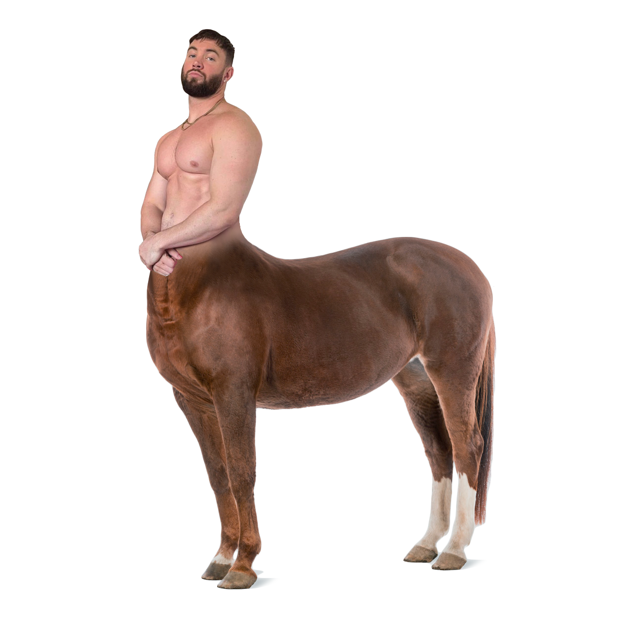 Centaur Animorph Centaur Photomorph 5 by frankly-art on DeviantArt