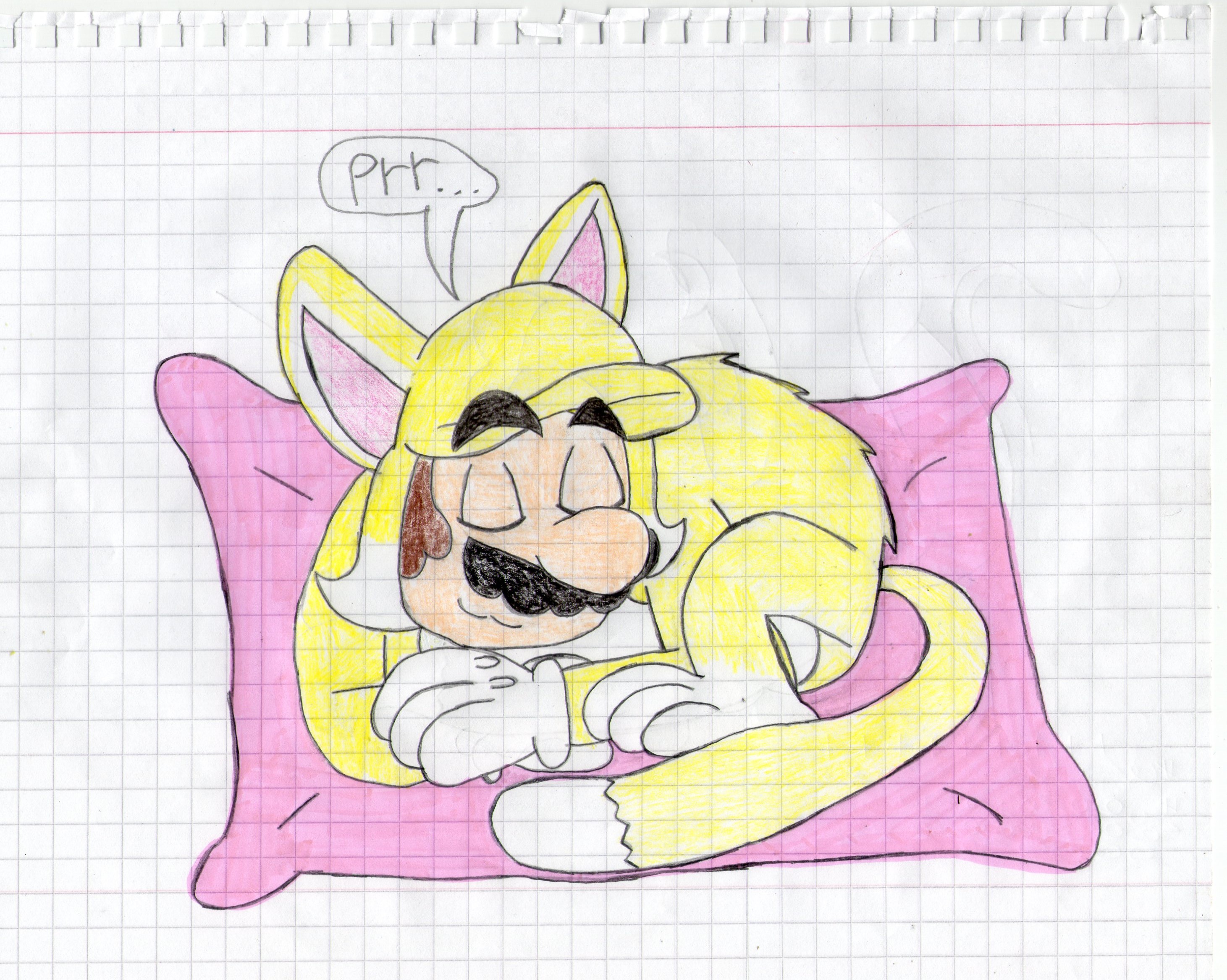 Neko Mario Sleeping