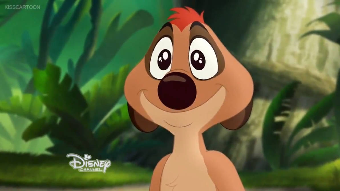 Timon's Cute Eyes by PrincessPuccadomiNyo on DeviantArt