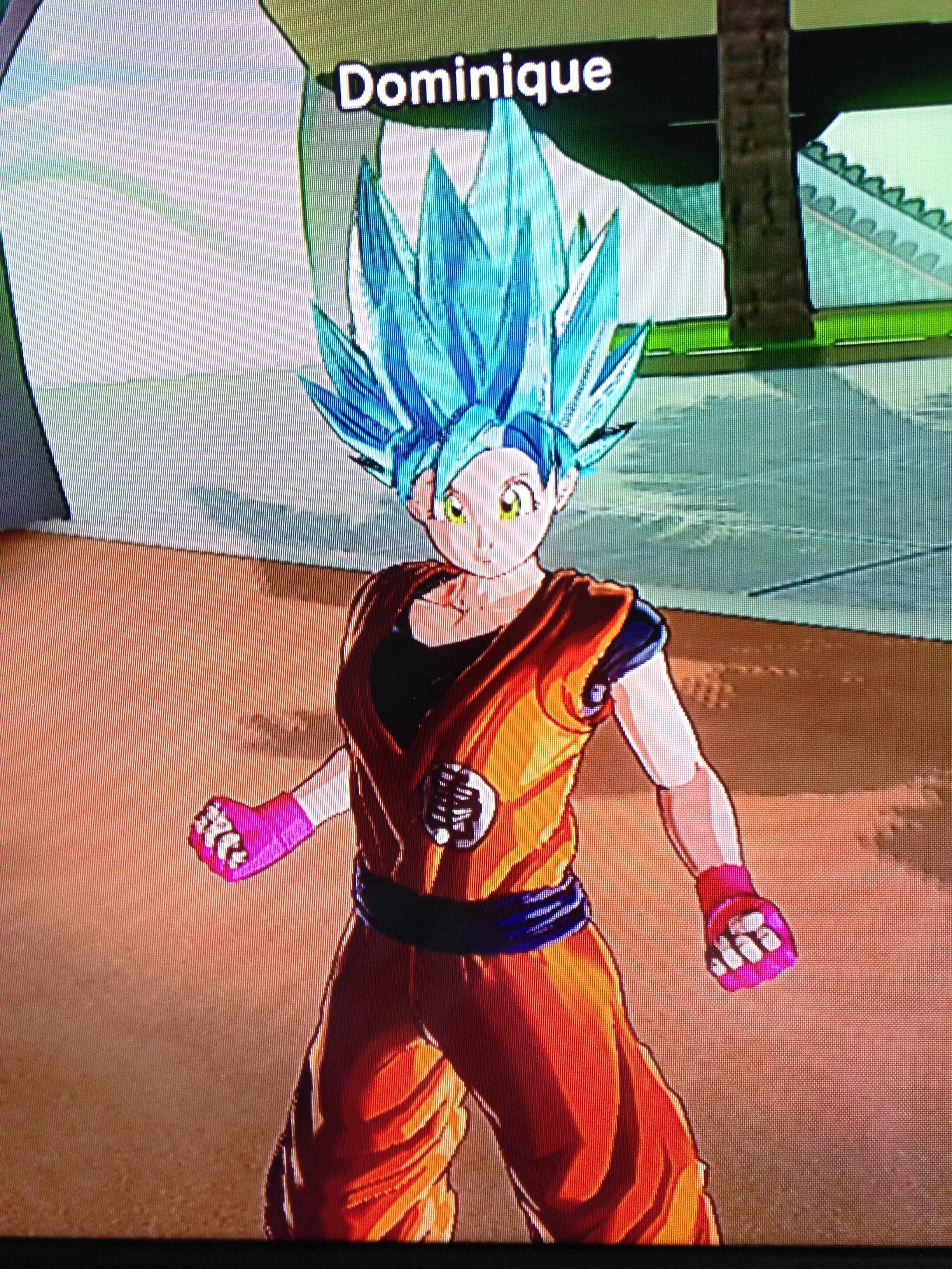 Dominique (Me) in Dragon Ball Xenoverse_035