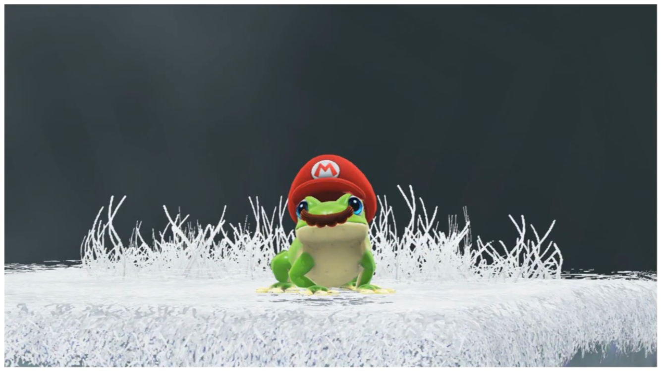 Mario Frog PT 5 by PrincessPuccadomiNyo on DeviantArt