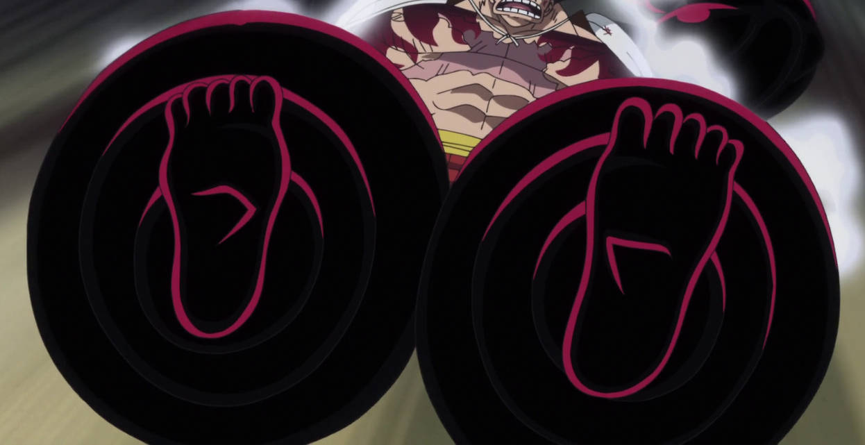 One Piece Episode 800 One Piece Episode 800