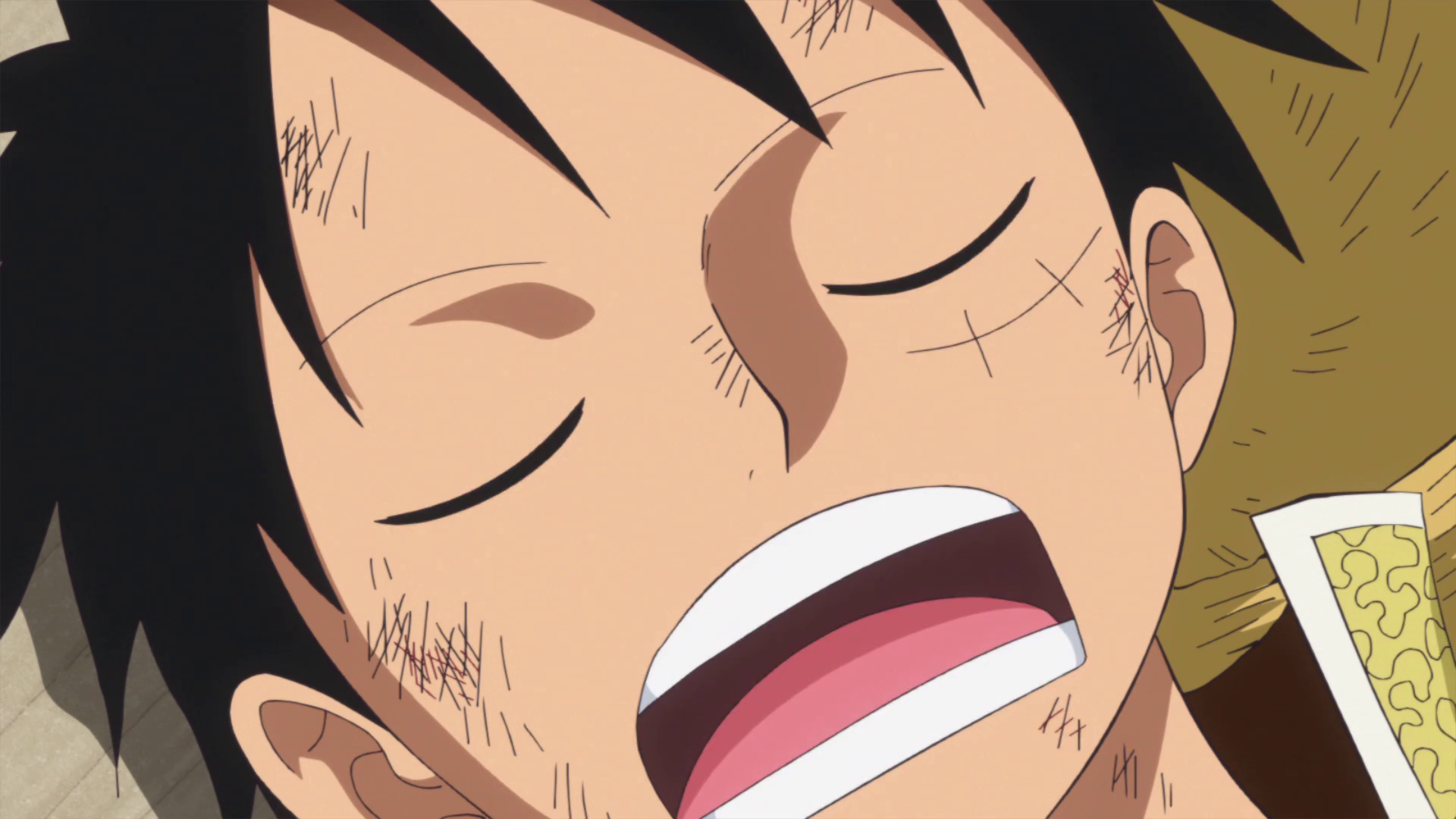 One Piece Episode 807 Screenshot 0 By Princesspuccadominyo On Deviantart One Piece Episode 807 Screenshot 0 By Princesspuccadominyo On Deviantart
