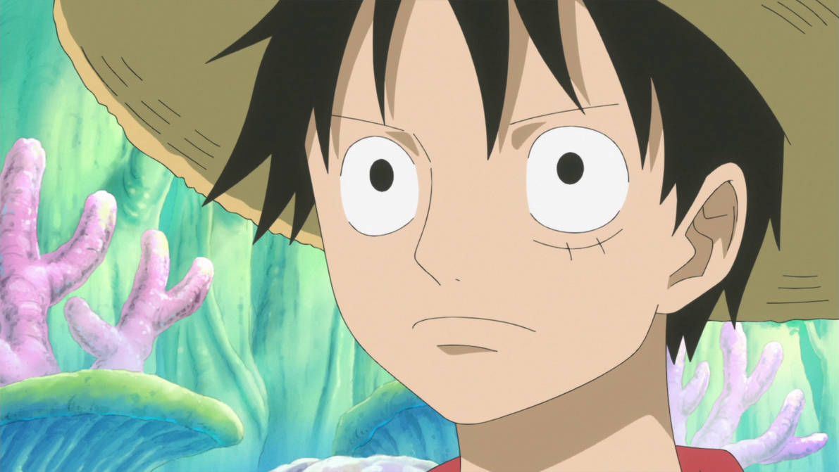 One Piece Episode 548 Screenshot By Princesspuccadominyo On Deviantart One Piece Episode 548 Screenshot By Princesspuccadominyo On Deviantart