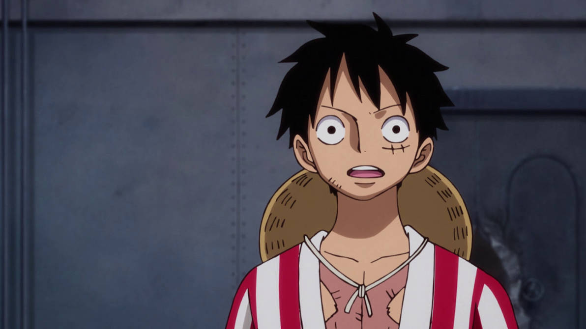 One Piece Episode 896 Screencap_10(0) by PrincessPuccadomiNyo on DeviantArt