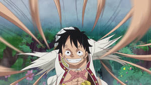 Identification Card Luffy By Lanahmd On Deviantart Identification Card Luffy By Lanahmd On Deviantart