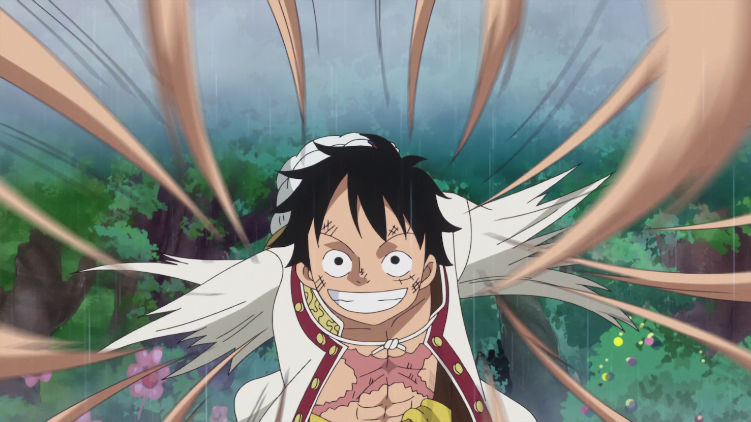 One Piece Episode 805 Screencap 1 By Princesspuccadominyo On Deviantart One Piece Episode 805 Screencap 1 By Princesspuccadominyo On Deviantart
