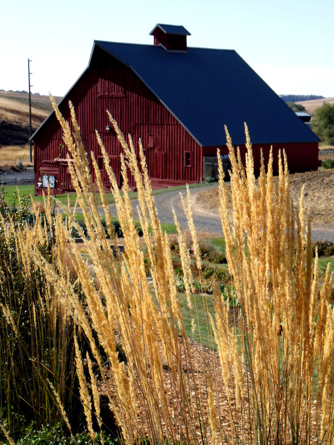 Red Barn