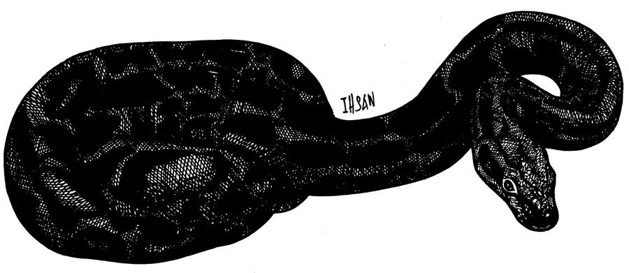 Burmess Python Cartoon Burmese python by ihsans-Art on DeviantArt