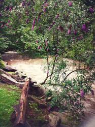 Stream (Taken with iPod)