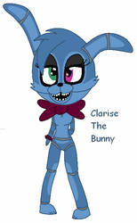 Clarise The Bunny