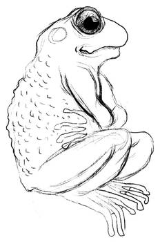 Frog (toad) Lineart