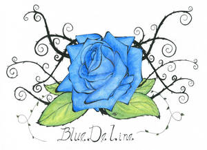 Blue rose