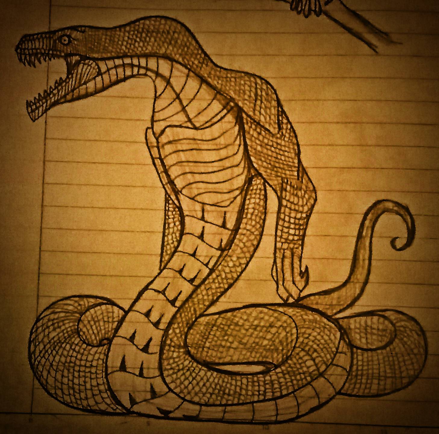 Creature design by linh-alan on DeviantArt