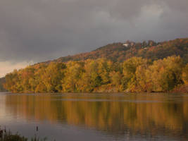 Golden Shoreline