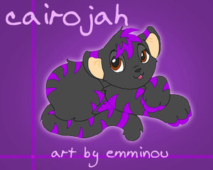 Cairojah the Kougra