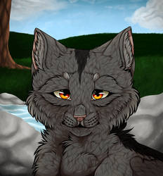 Graystripe: My new home [REDRAW]