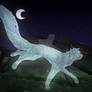 [Warrior Cats] Running with the stars