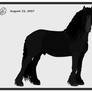 Friesian Stallion