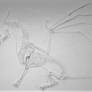 Dragon skeleton sketch
