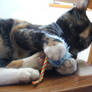 lilly playing wif toy