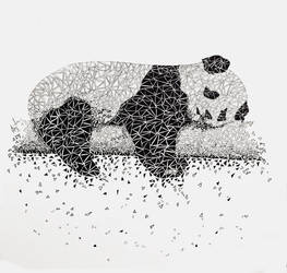 Shattered Panda