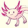 Axolotl