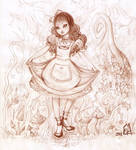 Little Alice by CoolCatFlora