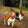 Basset Buddies