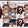 Select Your Fighter