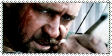 Robin Hood Stamp1