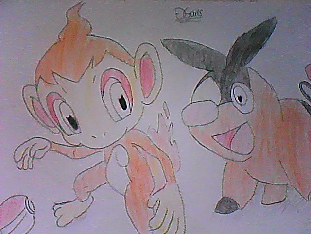 tepig and chimchar