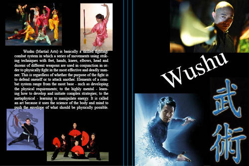 DVD inlay by xiaoting on DeviantArt