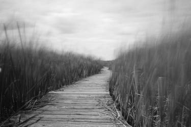 Plum Island - Boardwalk