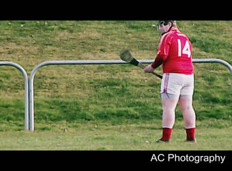 Hurling at its best .