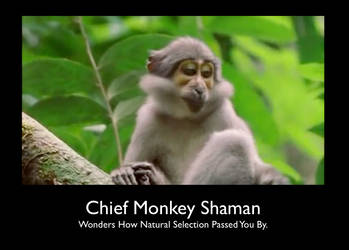 Chief Monkey Shaman...