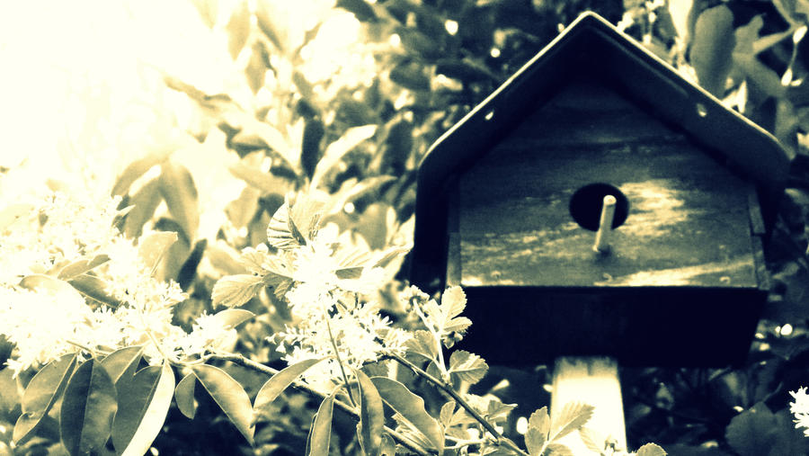 Bird House