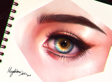 Eye study