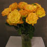 Gold Roses 09