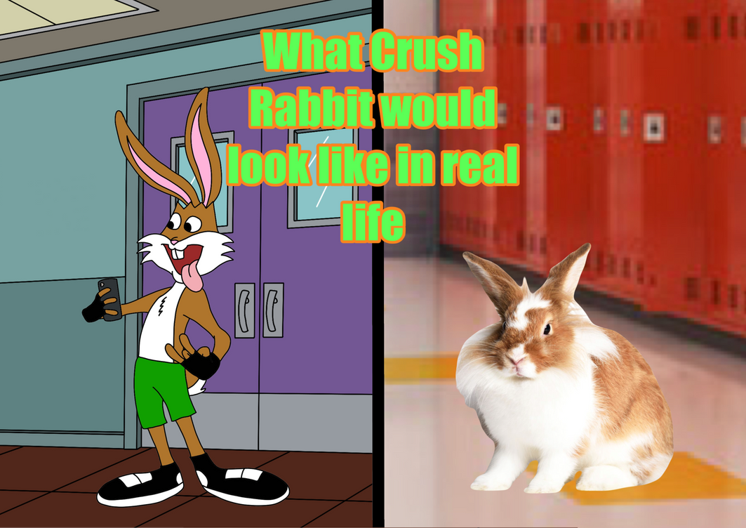 Rabbit Crush Video A Small Dog Sleeping On A Master Knees, Outdoor